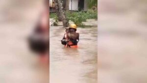 Watch: Rescue Worker’s Heroic Effort Saves Dog During Karnataka Floods