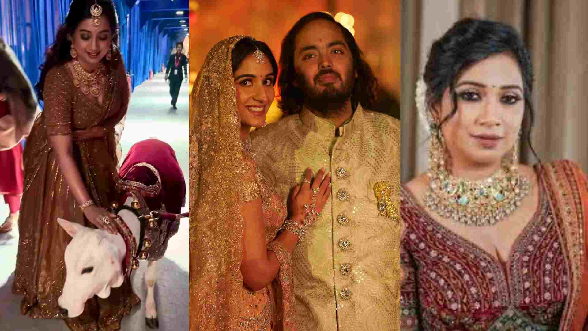 Watch : Adorable Calves Steal Show at Anant Ambani and Radhika Merchant’s Grand Mumbai Wedding