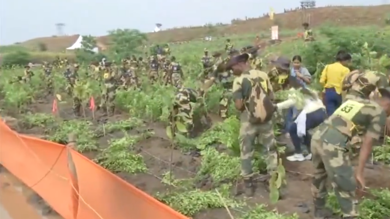 Watch: This State Sets New World Record With Massive 24-Hour Tree Planting Effort