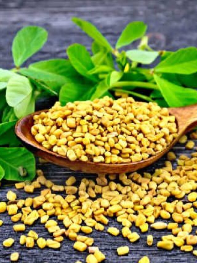 5 BENEFITS OF EATING FENUGREEK SEEDS.