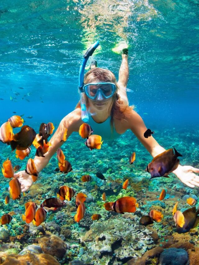 Top 5 World’s Best Snorkeling Destinations: Dive into Paradise