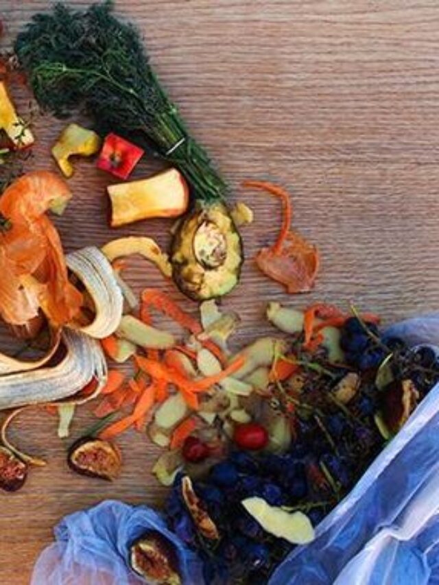 Combating Food Waste: Practical Tips