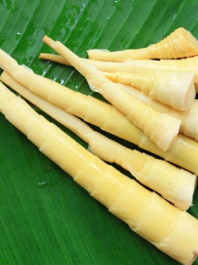 5 Health Benefits of Eating Bamboo Shoots