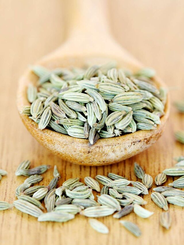 DISCOVER THE HEALTH BENEFITS OF EATING FENNEL SEEDS (Saunf) AFTER EVERY MEAL