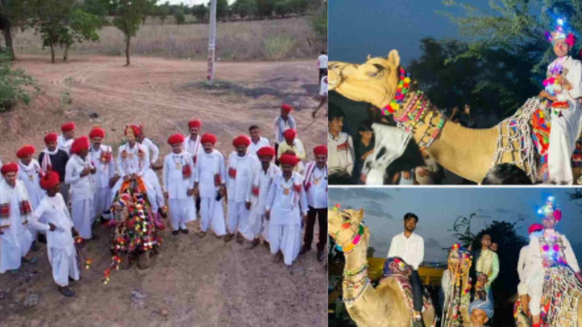 Uniue Traditional Rajasthani Wedding_TDG