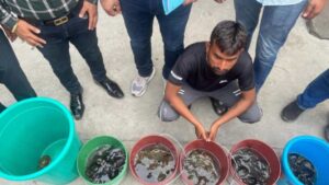 Ghaziabad Man Arrested for Smuggling 100 Baby Turtles In Delhi