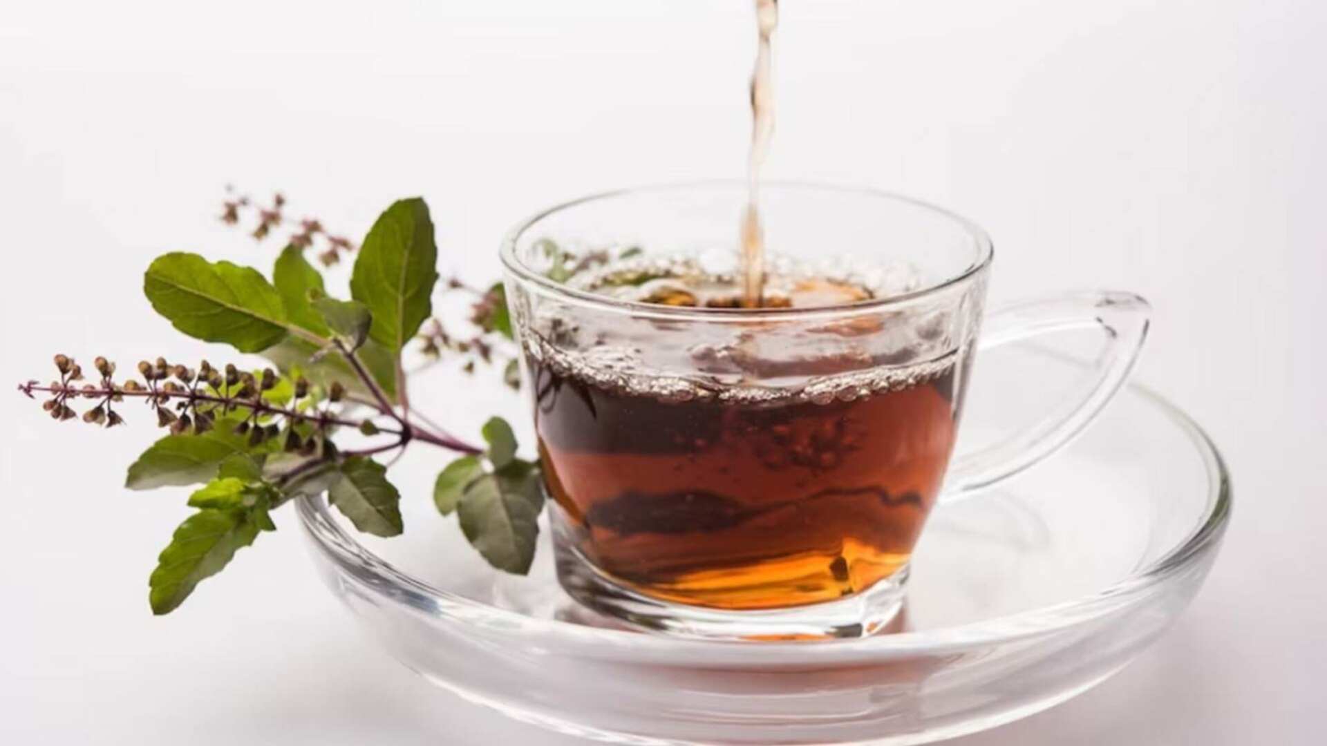 Medical Advice: Who Should Not Drink Tulsi Water?