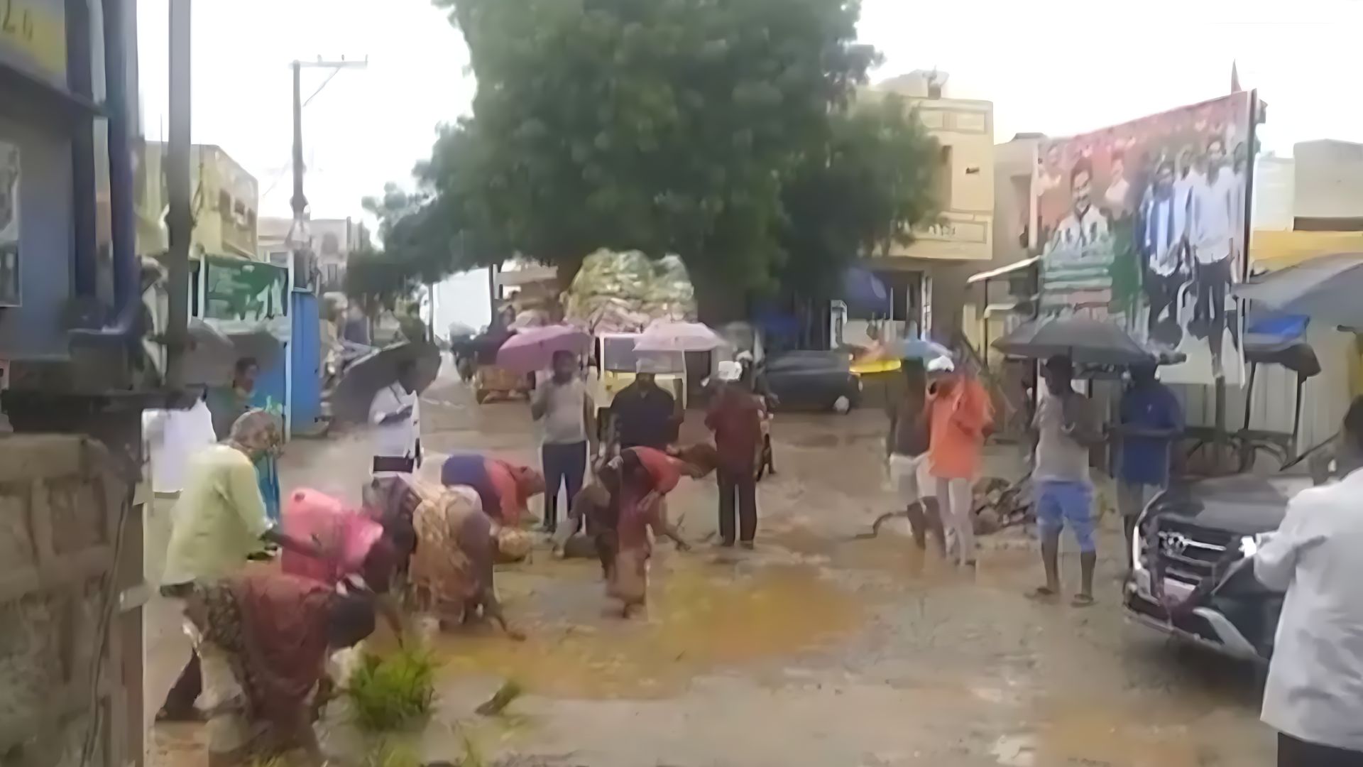 Watch: Frustrated by Potholes, Telangana Residents Plant Rice in Protest