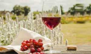 Healing Powers of Red Wine: Surprising Benefits That Could Help Cure These Diseases