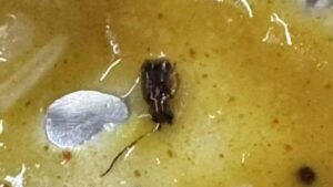 Live Cockroach Found In Vande Bharat Meal, Passenger Outraged