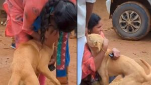 Dog Reunites With Owner After 6 Days Of Wayanad Landslides: Viral Video