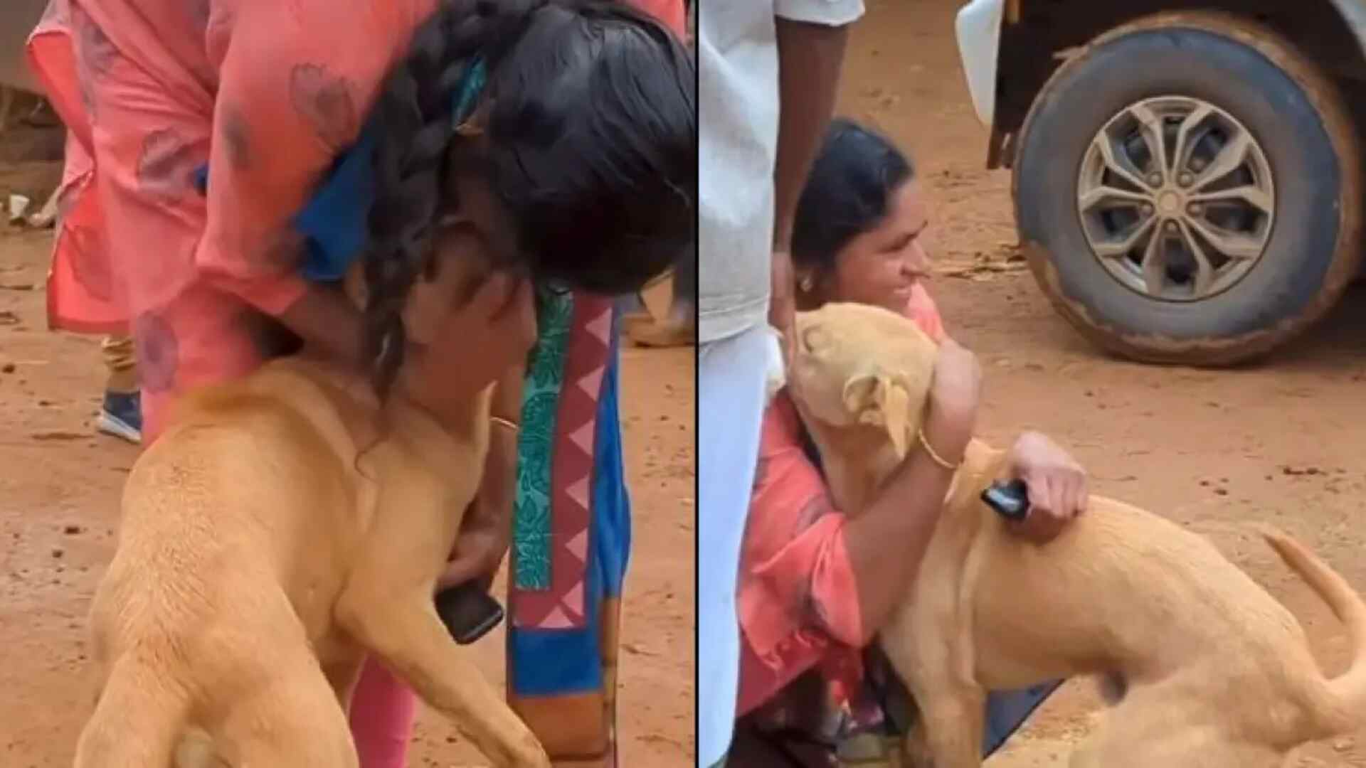 Dog Reunites With Owner After 6 Days Of Wayanad Landslides: Viral Video