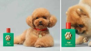 Fefé By Dolce & Gabbana: The New €99 Luxury Perfume For Pups