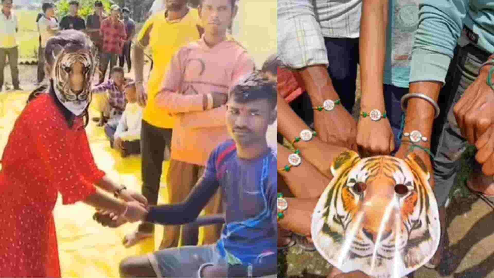 Raksha Bandhan 2024: Women In Tiger Masks Celebrate Near MP’s Pench Reserve