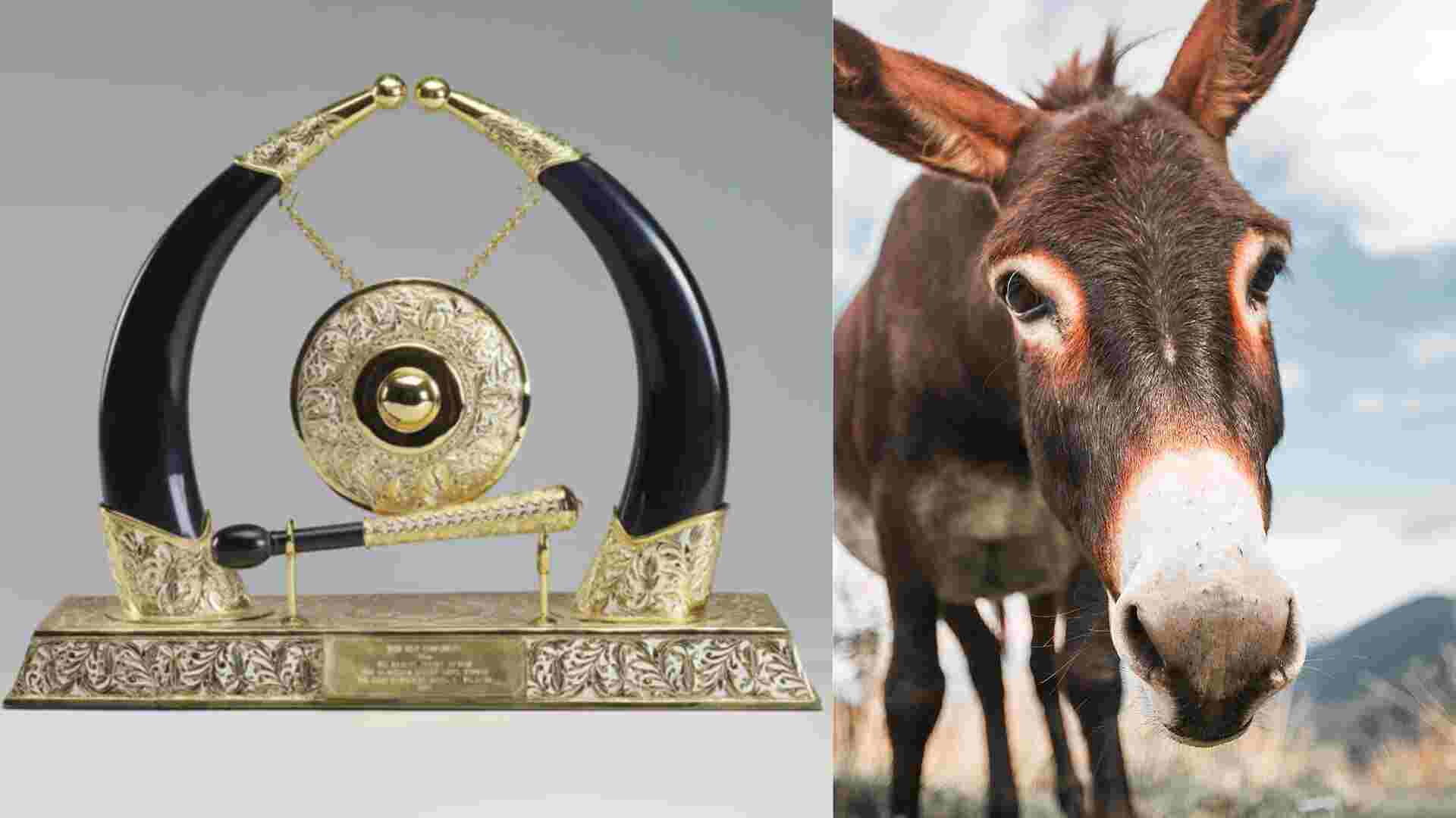 From Donkeys to Diamonds: The Most Unusual Gifts Royal Family Received