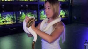 Watch: Woman Uses Ball Python for Snake Yoga, Sparks Outrage Online