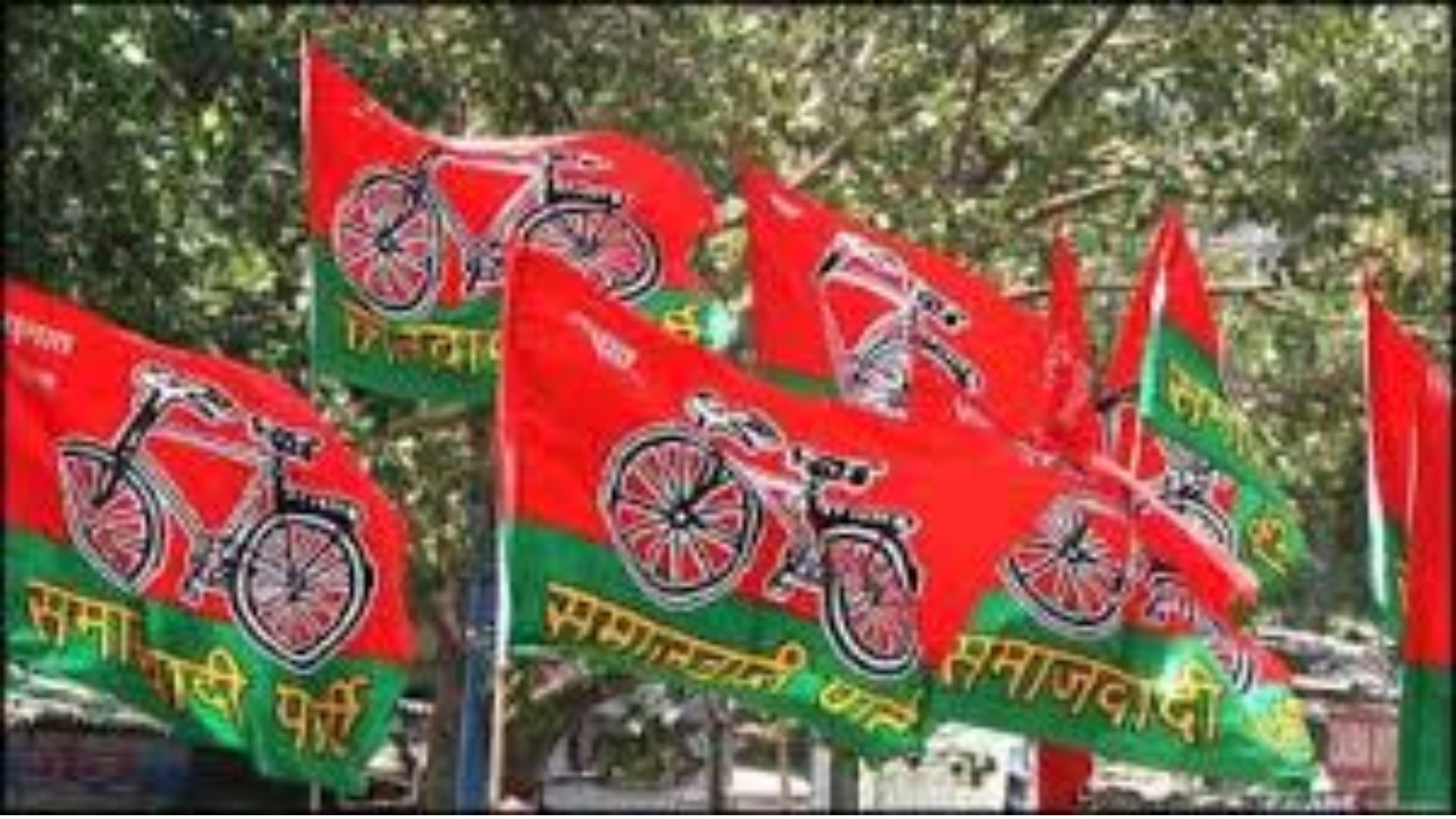 Samajwadi Party unveils first list of six candidates for upcoming UP bypolls