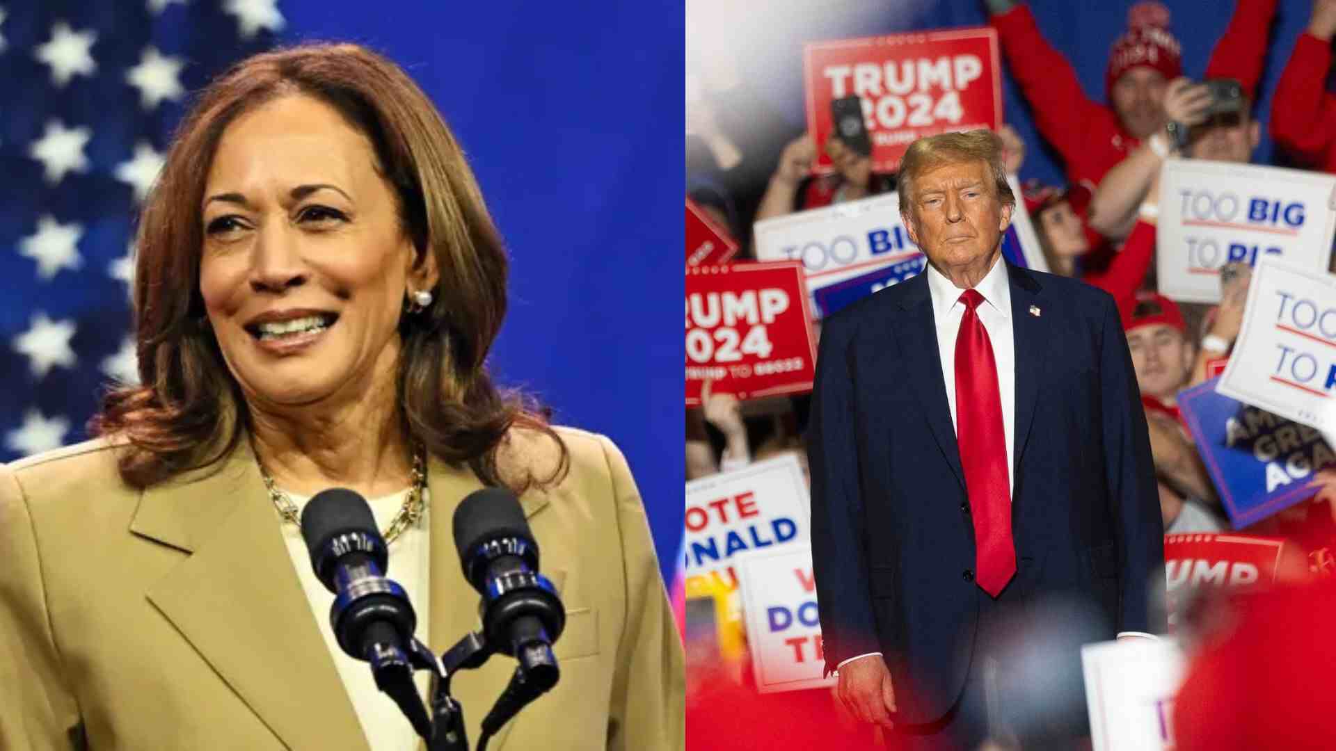 Kamala Harris Gains Ground In 2024 Race, Surpassing Trump In Betting Markets