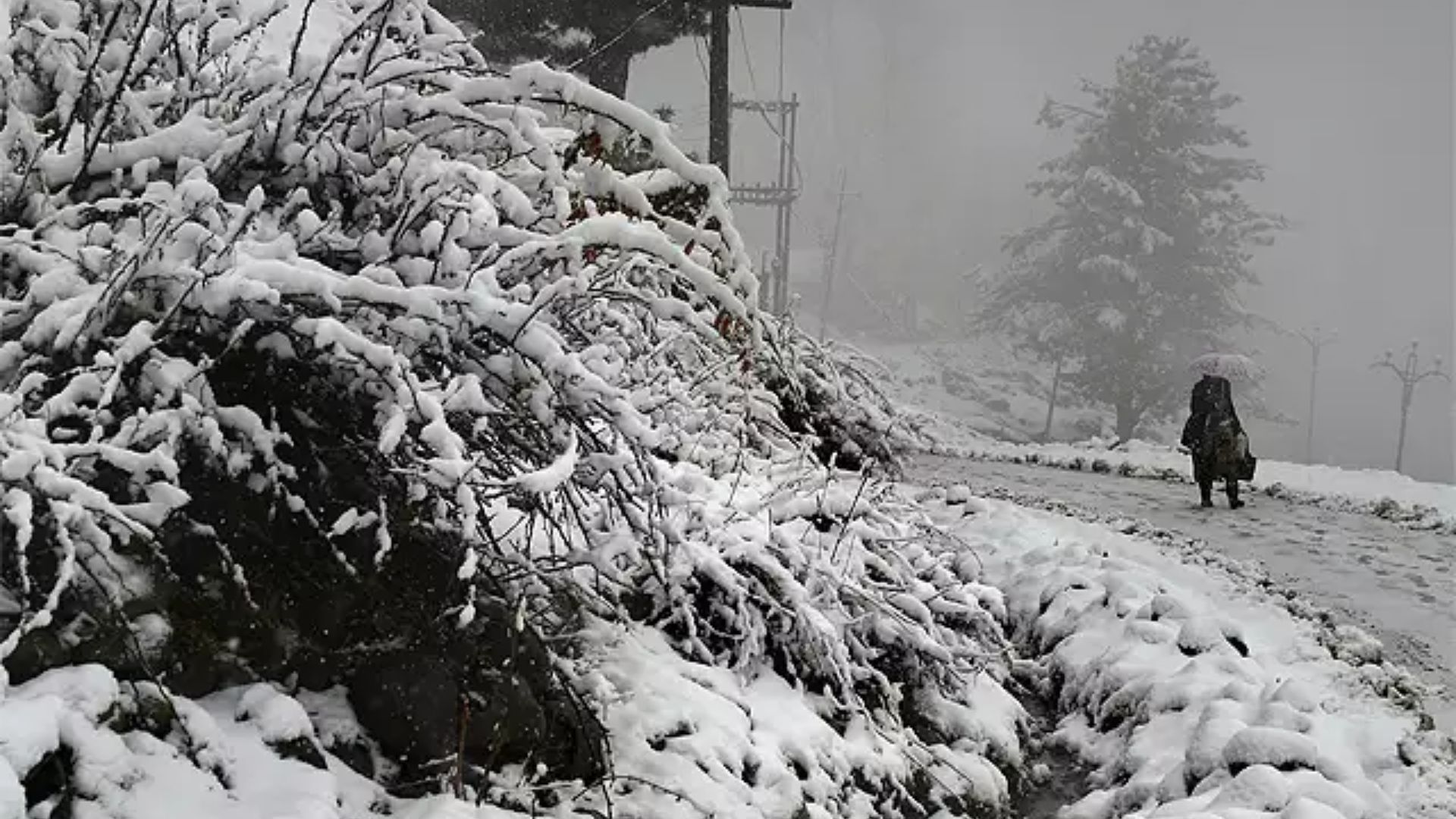 Season's First Snowfall in Kashmir