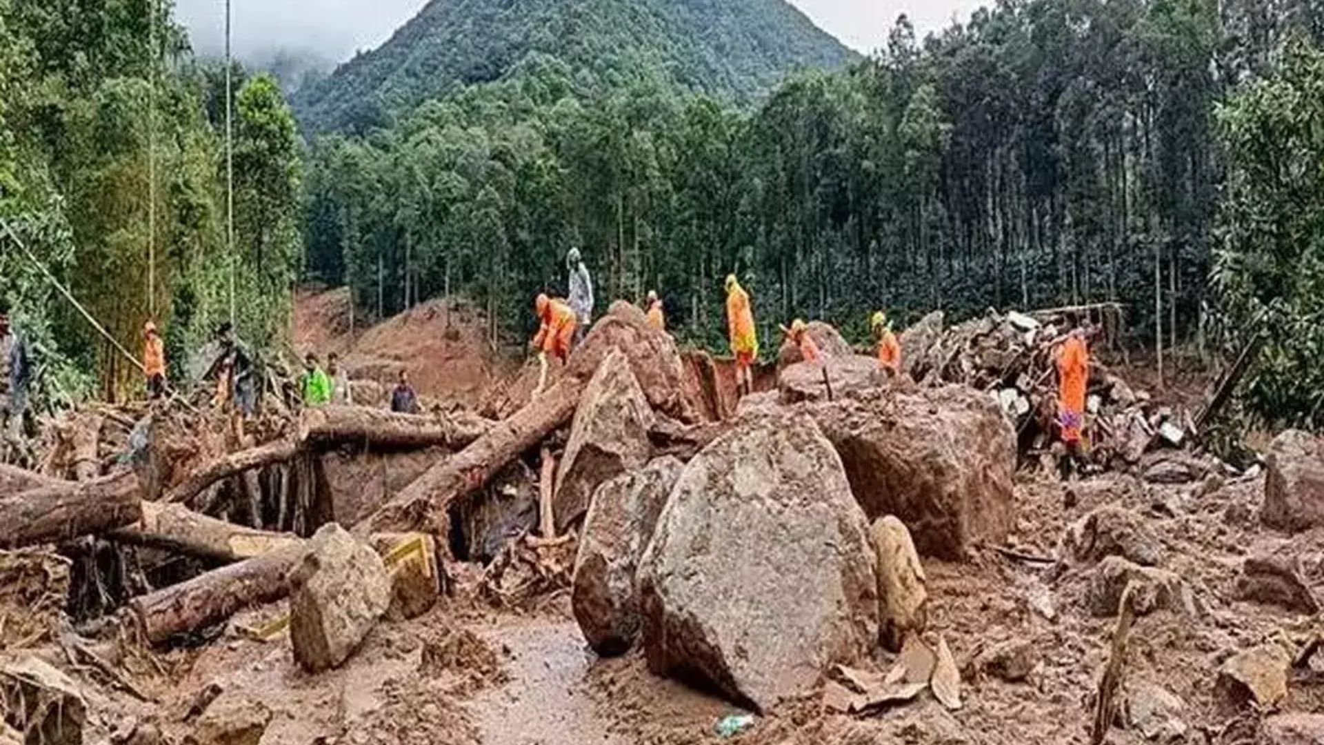 Kerala Bank Waives Loans for Wayanad Landslide Victims; PM Assures Support