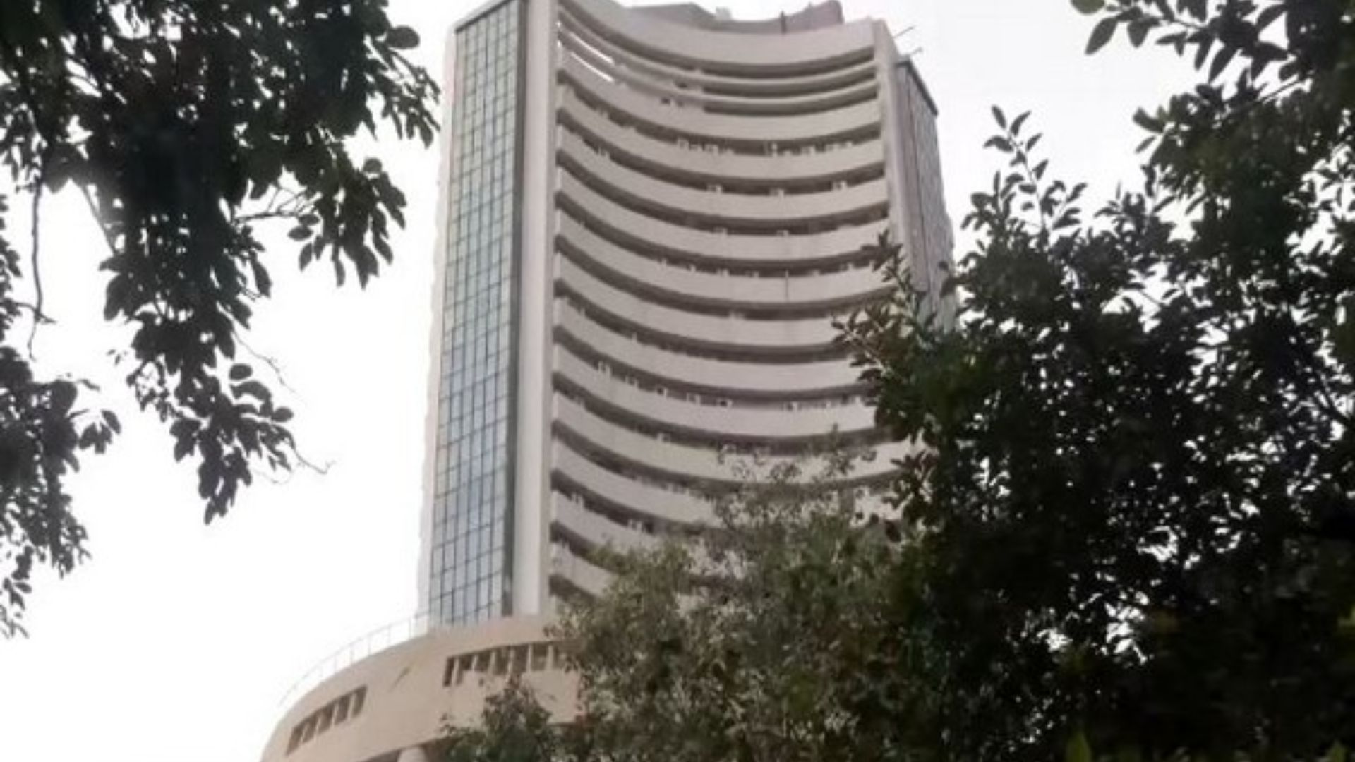 Monday’s Sensex Drop: A Review of the Five Largest Declines in History