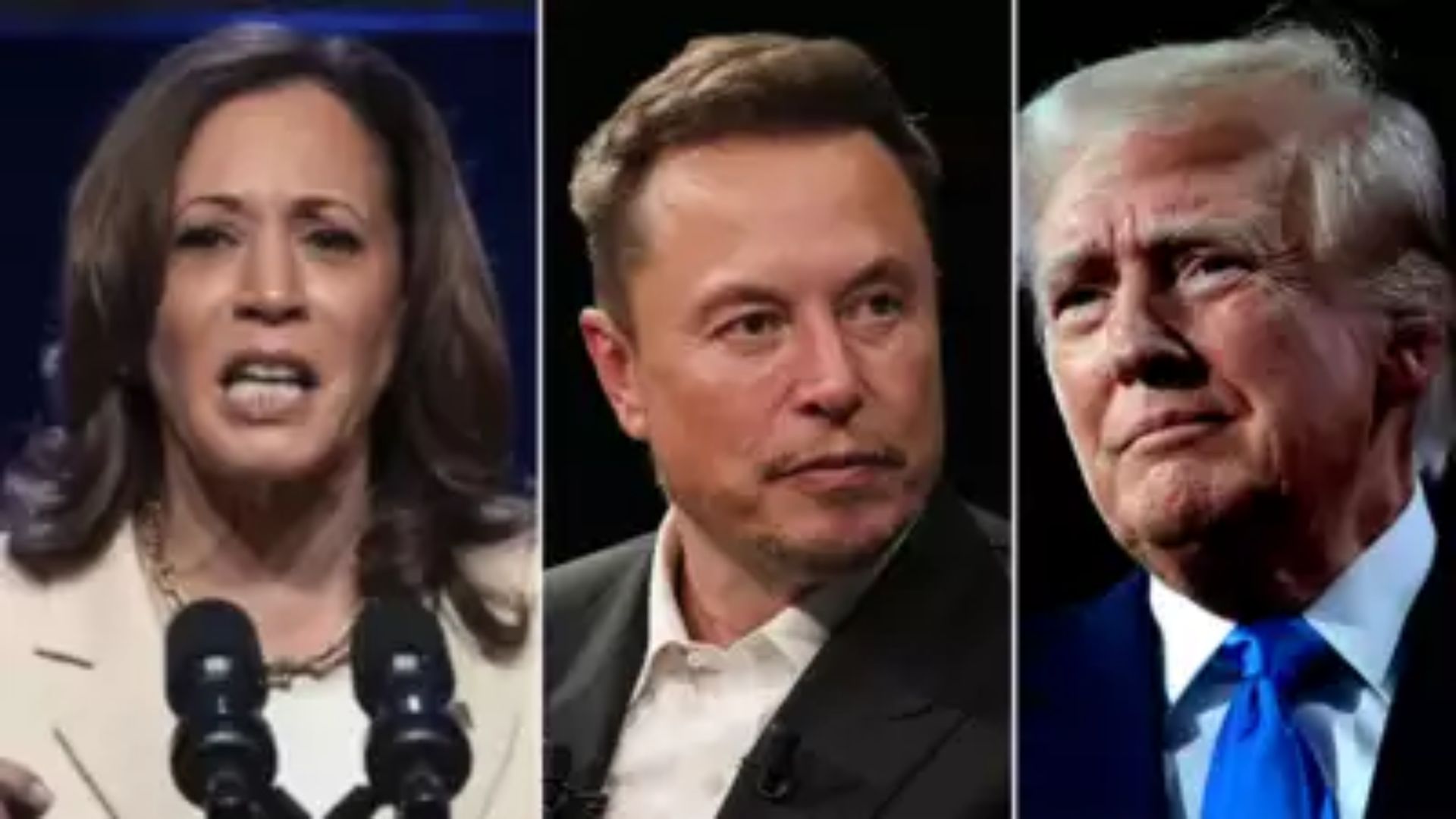 Harris Campaign Mocks Trump-Musk Interview’s Technical Glitches