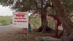 In Barmer, Rajasthan, Locals Revere A Tree Believed To Harbor Khoda Bhoot