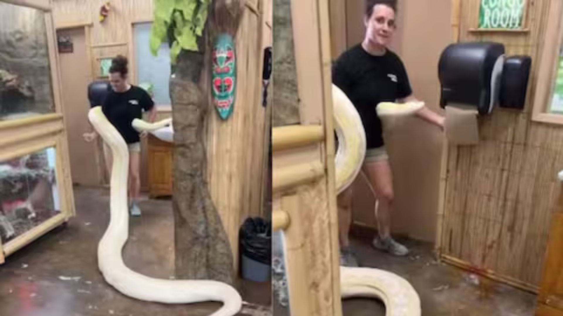 Woman Wraps Python Around Neck and Takes It to A Room– Know What Happens Next