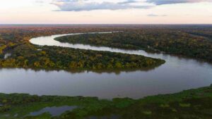 Pantanal Waterway Project : Scientists Warn It Could Destroy ‘Paradise On Earth’