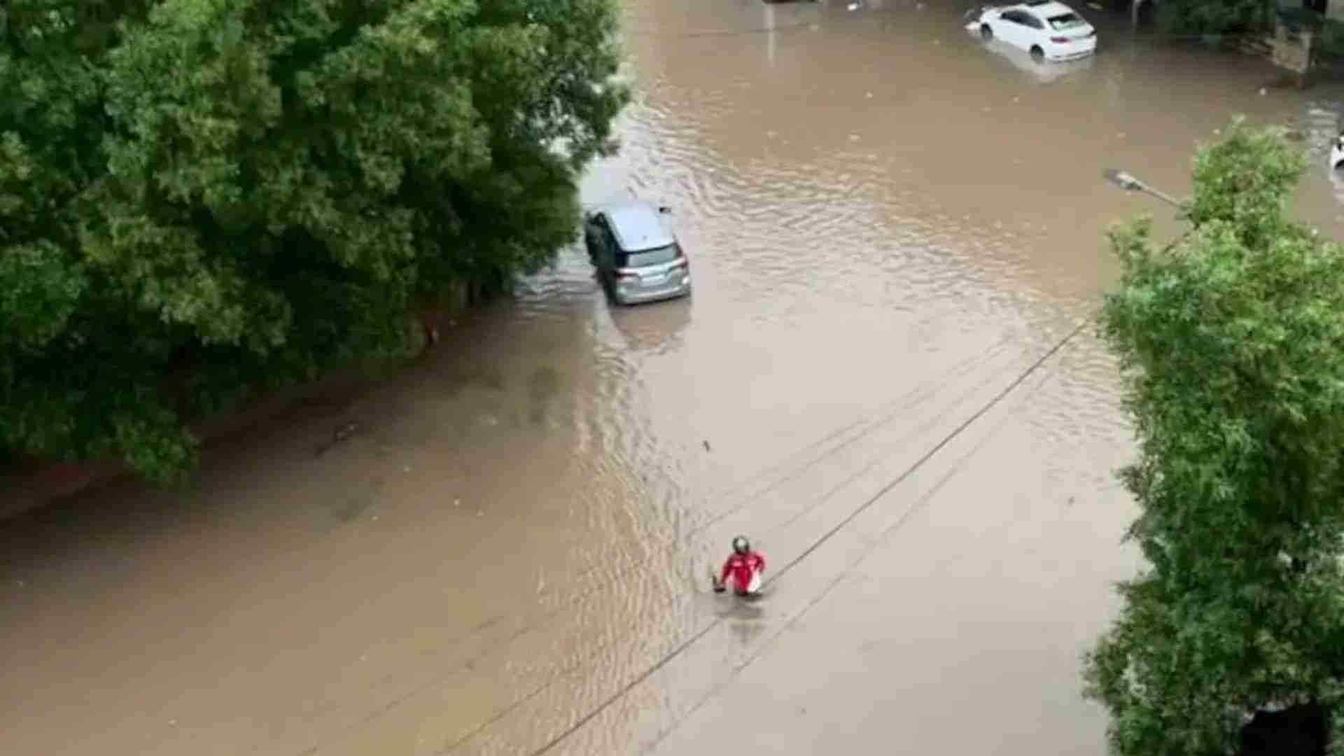 Zomato Agent Wades Through Knee-Deep Water To Deliver Food In Ahmedabad