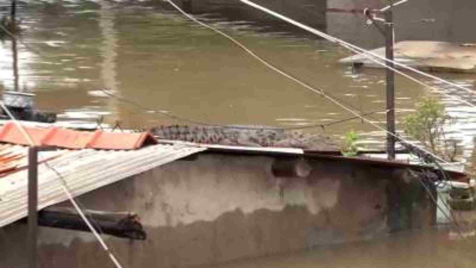 Watch: Crocodile Spotted On Roof Of House In Flooded Vadodara