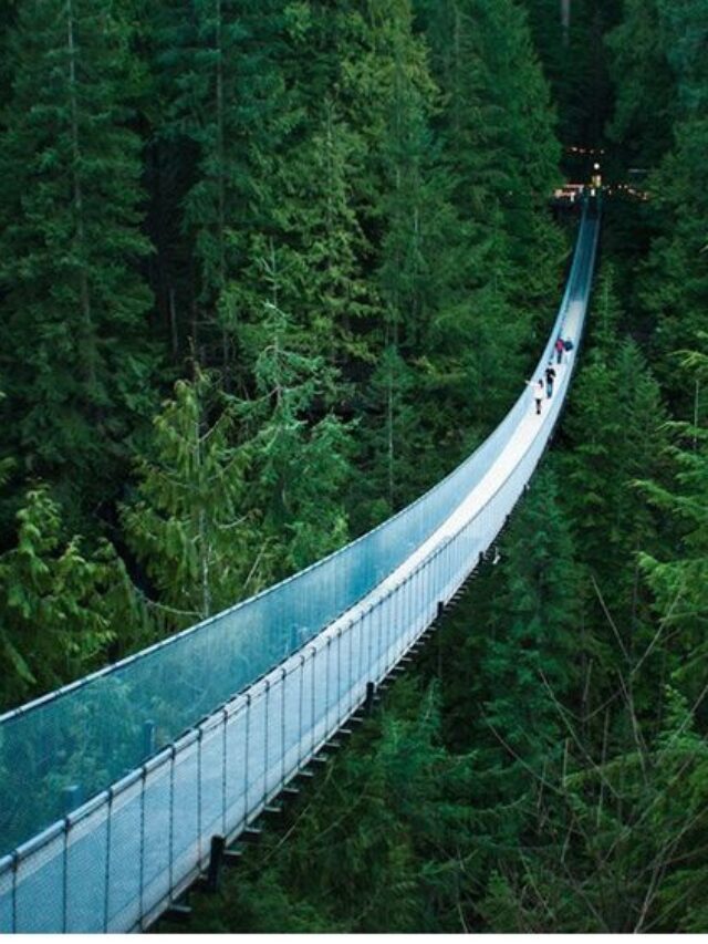 5 Terrifying Bridges Across Globe