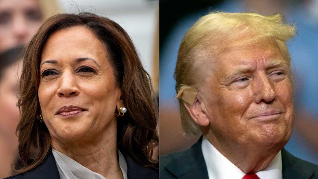 Poll Stats Show Kamala Harris Gaining Lead Over Donald Trump in US Election 2024