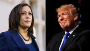 Trump vs. Harris: Current Poll Trends and What They Mean for the 2024 Election