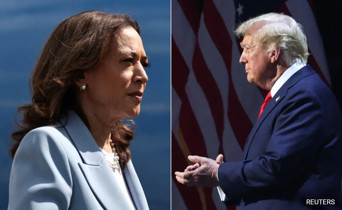 Who are Millionaires Voting For Presidential Elections? Donald Trump Or Kamala Harris