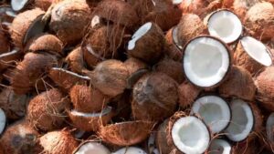 Why Airlines Ban Coconuts: The Reasons And Safety Concerns