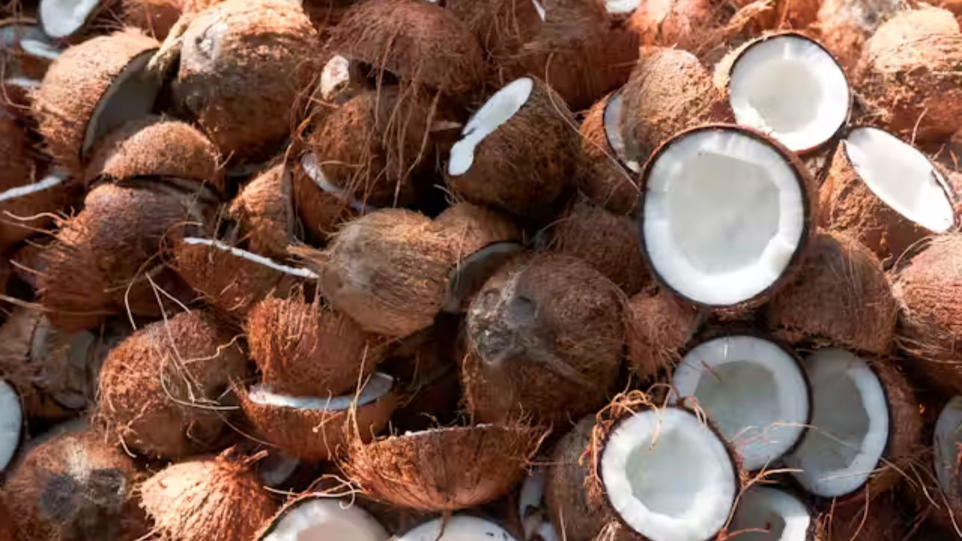 Why Airlines Ban Coconuts: The Reasons And Safety Concerns