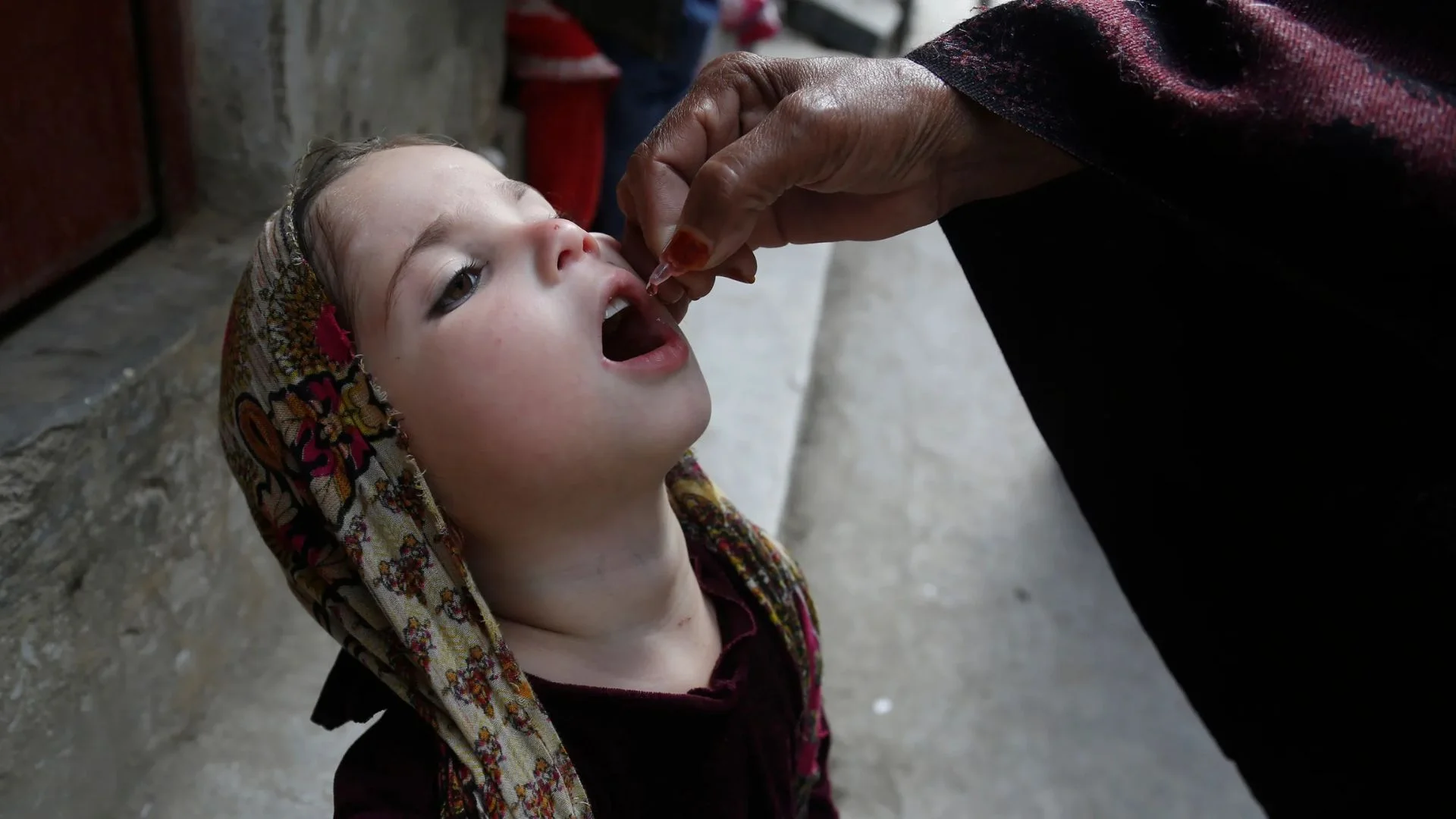 WHO Launches 1.2 Billion Polio Vaccination Campaign In Gaza Amid Ongoing Conflict