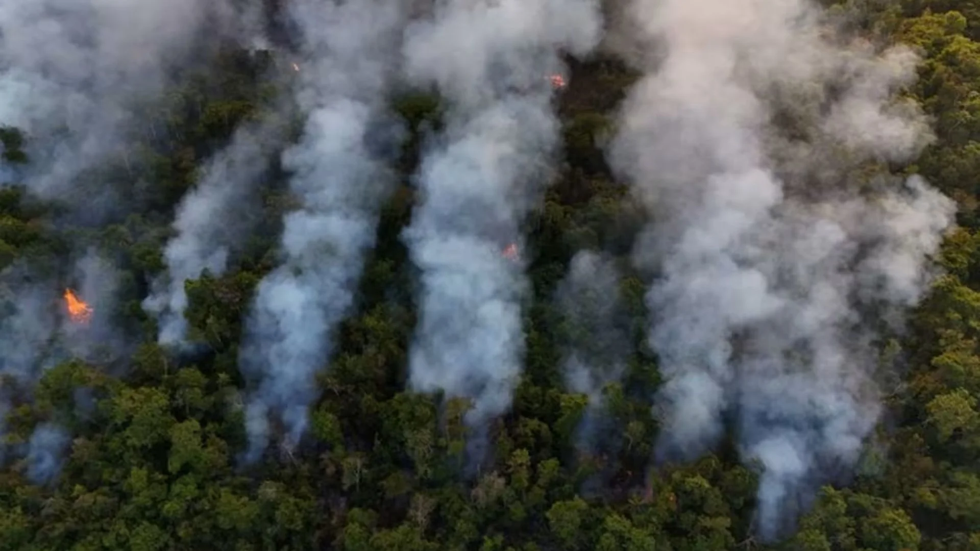 145 Days Of Severe Drought Leads To Major Fire In Brasilia National Park