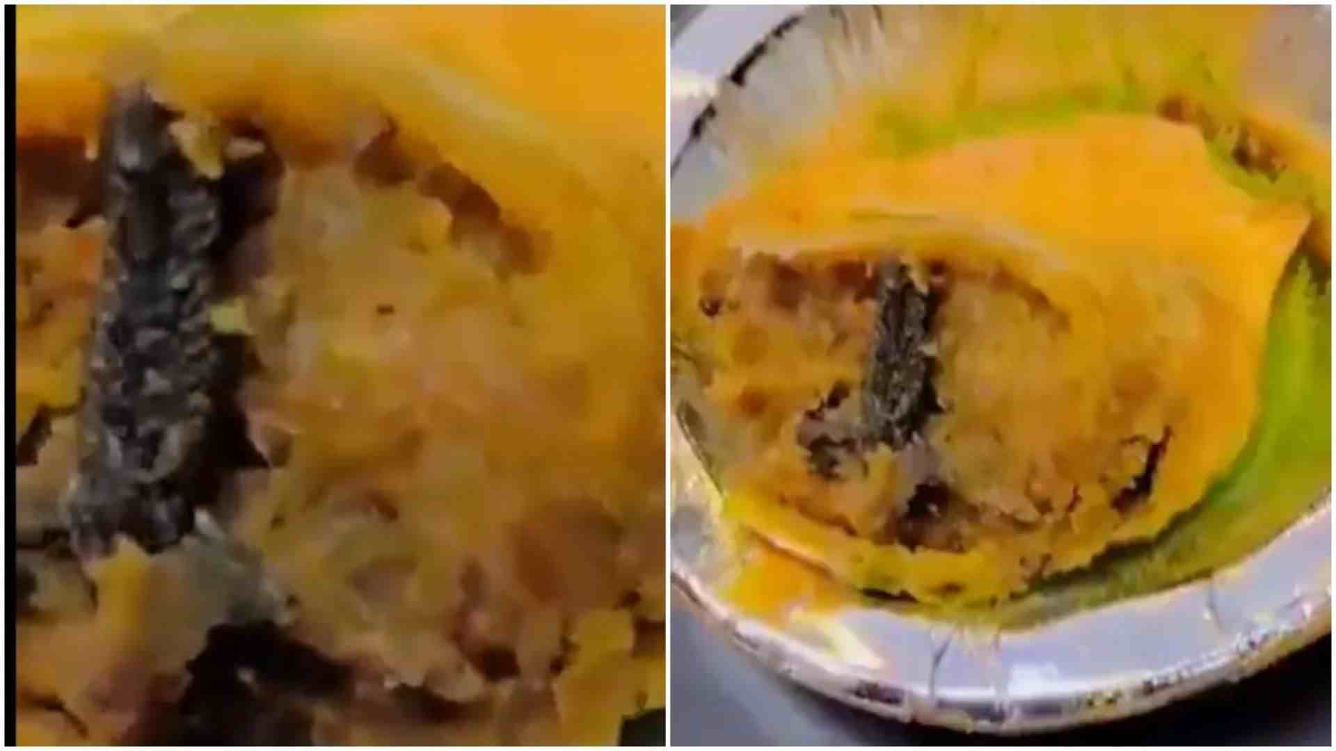 Frog Leg In Samosa Found In Ghaziabad Sweet Shop | Watch