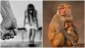 When Monkeys Become ‘Hanuman’ To Save 6-Year Old From Being Raped