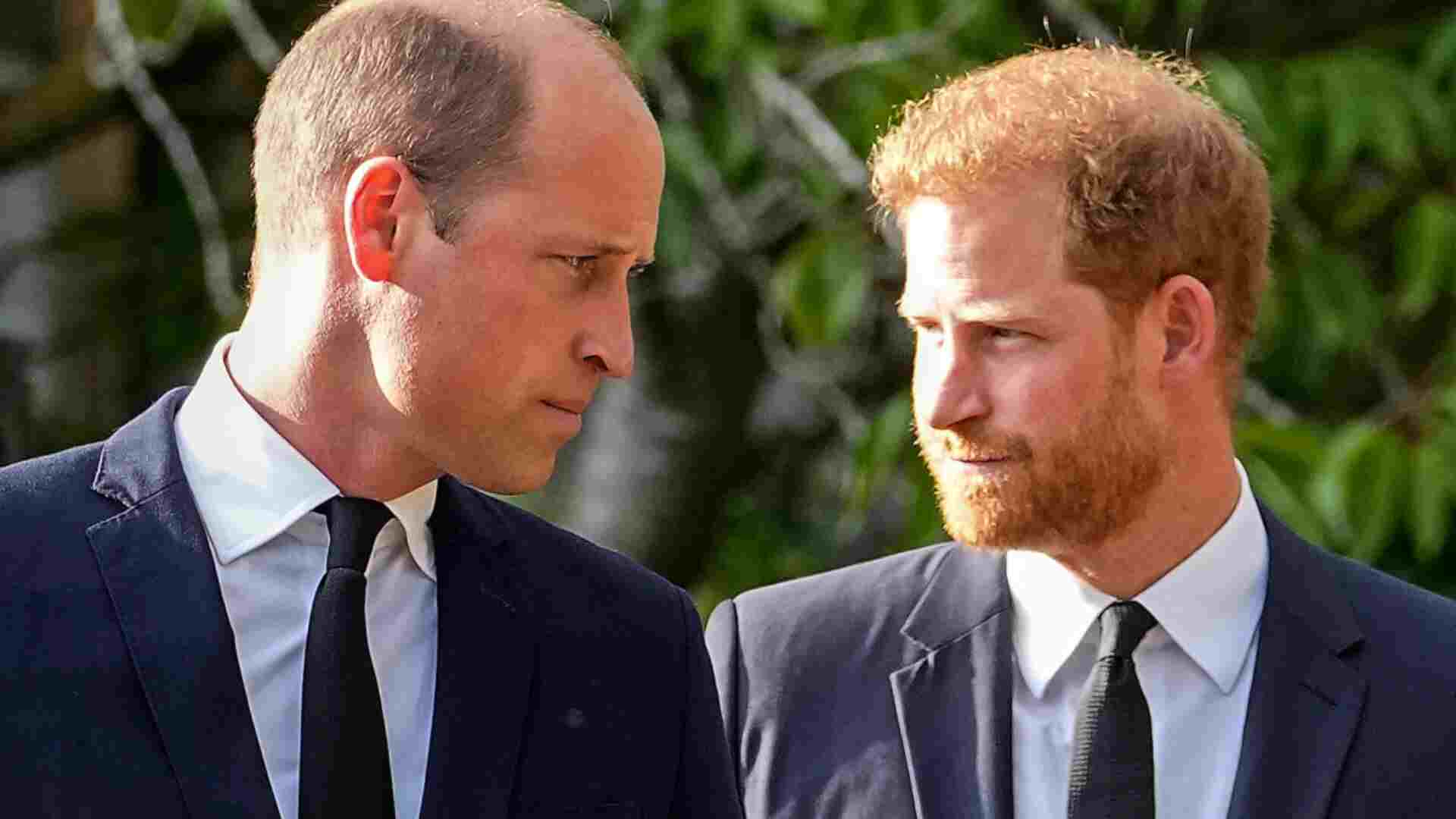 Prince Harry, Prince William