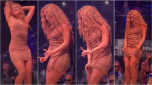 Shakira Walks Off Stage After Fan Tries To Film Under Her Dress; Twitter Decries Incident As ‘Shameful’