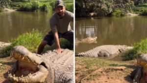 Shocking Video: Man’s Close Encounter With World’s Oldest Crocodile Leaves Internet In Awe