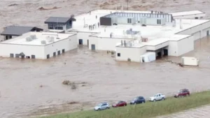 Hurricane Helene: Over 50 Airlifted From Flooded Tennessee Hospital In Heroic Rescue