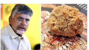 Tirupati Prasad Row: Andhra CM Naidu Criticizes Previous Government