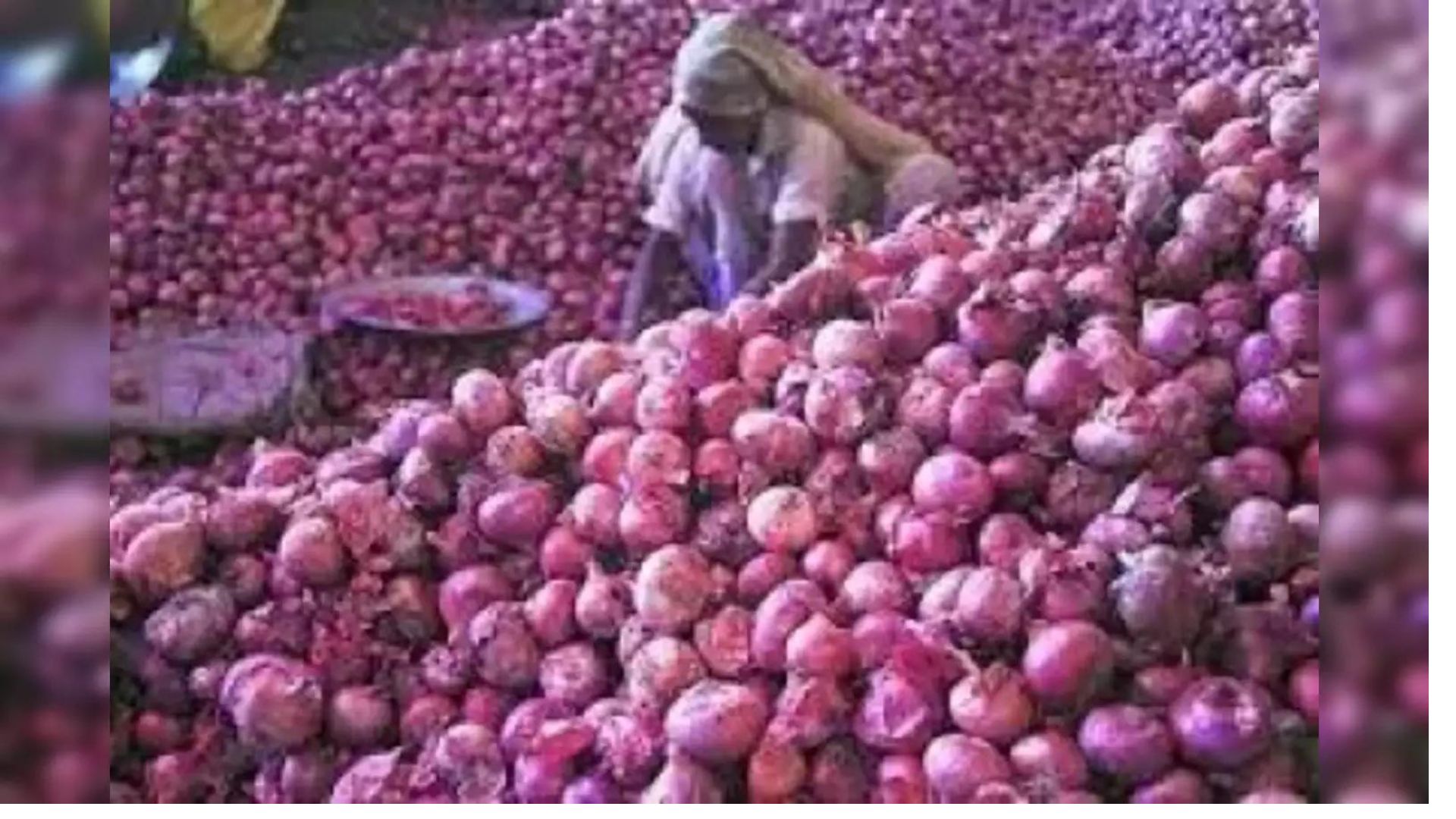 Indian Government Lifts Price Threshold on Onion Exports