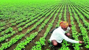 Farmer Leader Shivkumar Kakka Demands Hike in Soybean MSP, Threatens Intensified Agitation