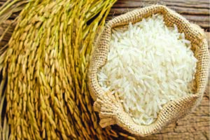 Farmers Hit Hard By Fall In Basmati Prices