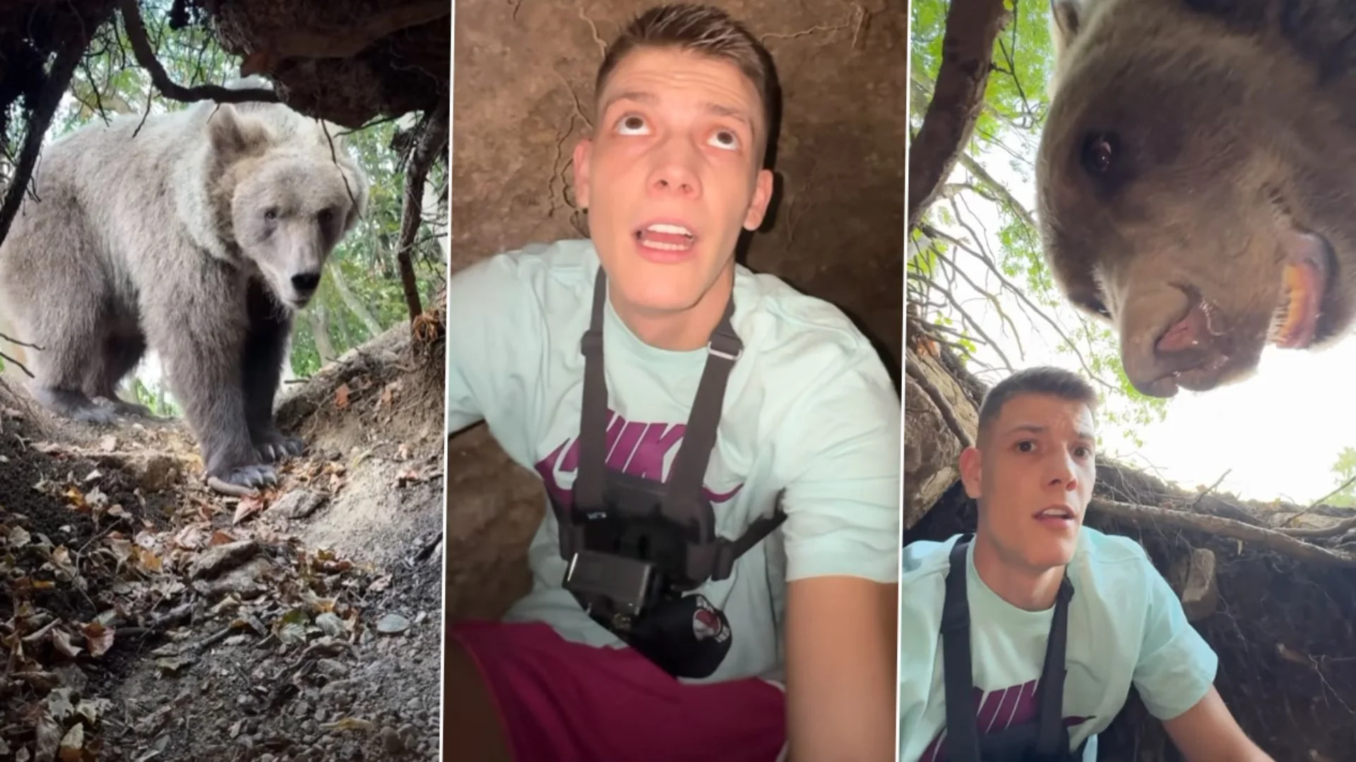 Watch: Serbian Influencer’s Escaping Bear Den After Close Encounter